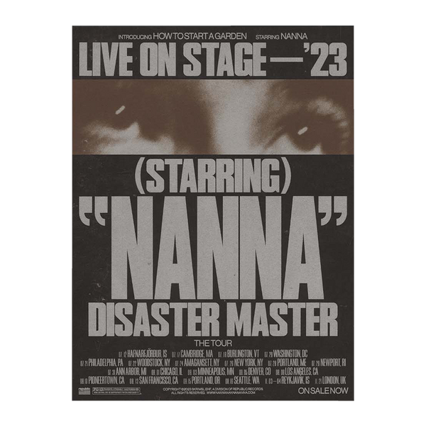 Disaster Master World Tour 2023 Poster