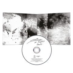An inbuilt Fault - CD
